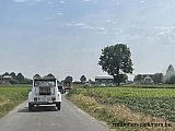 Zandlemig Vlaanderen
